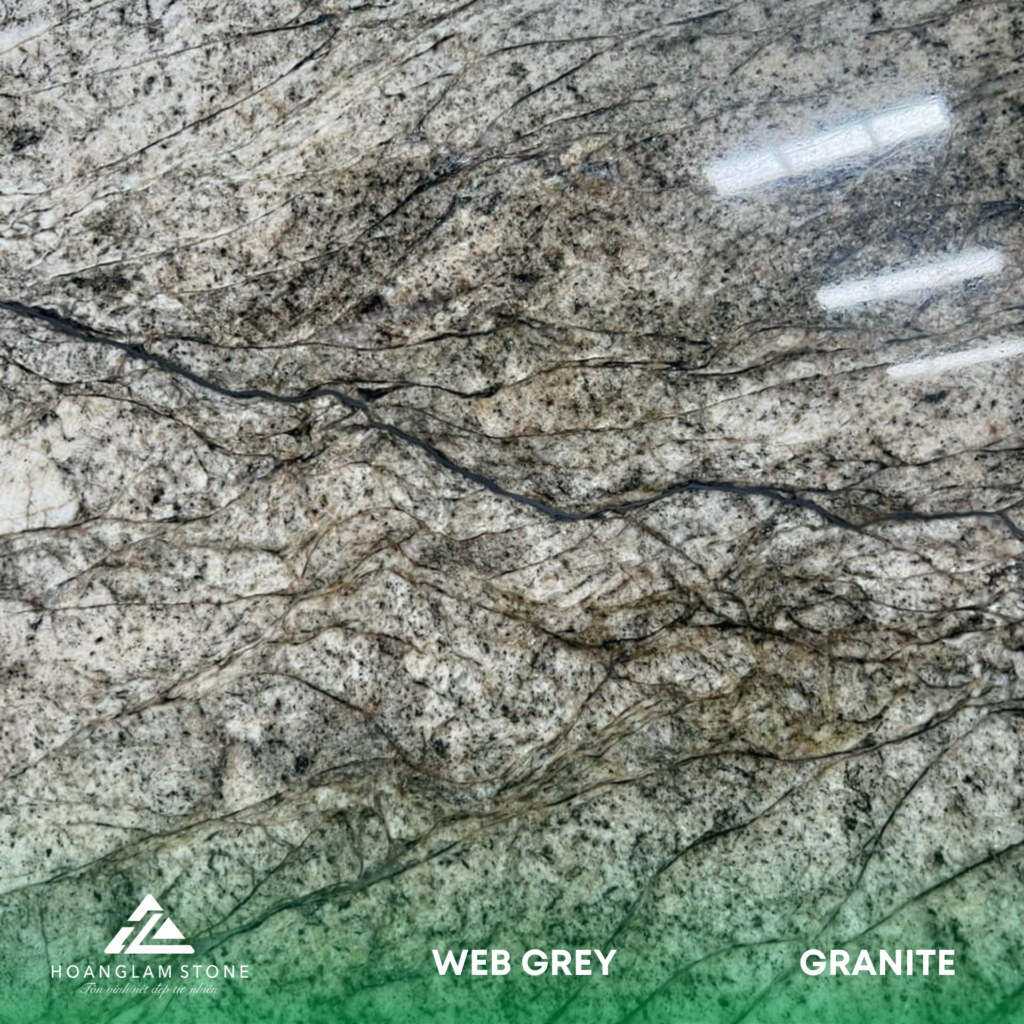 ĐÁ GRANITE WEB GREY GRANITE - Hoàng Lâm Stone